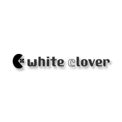 white clover